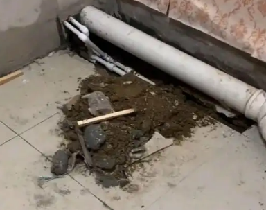 肥西卫生间漏水检测哪家好